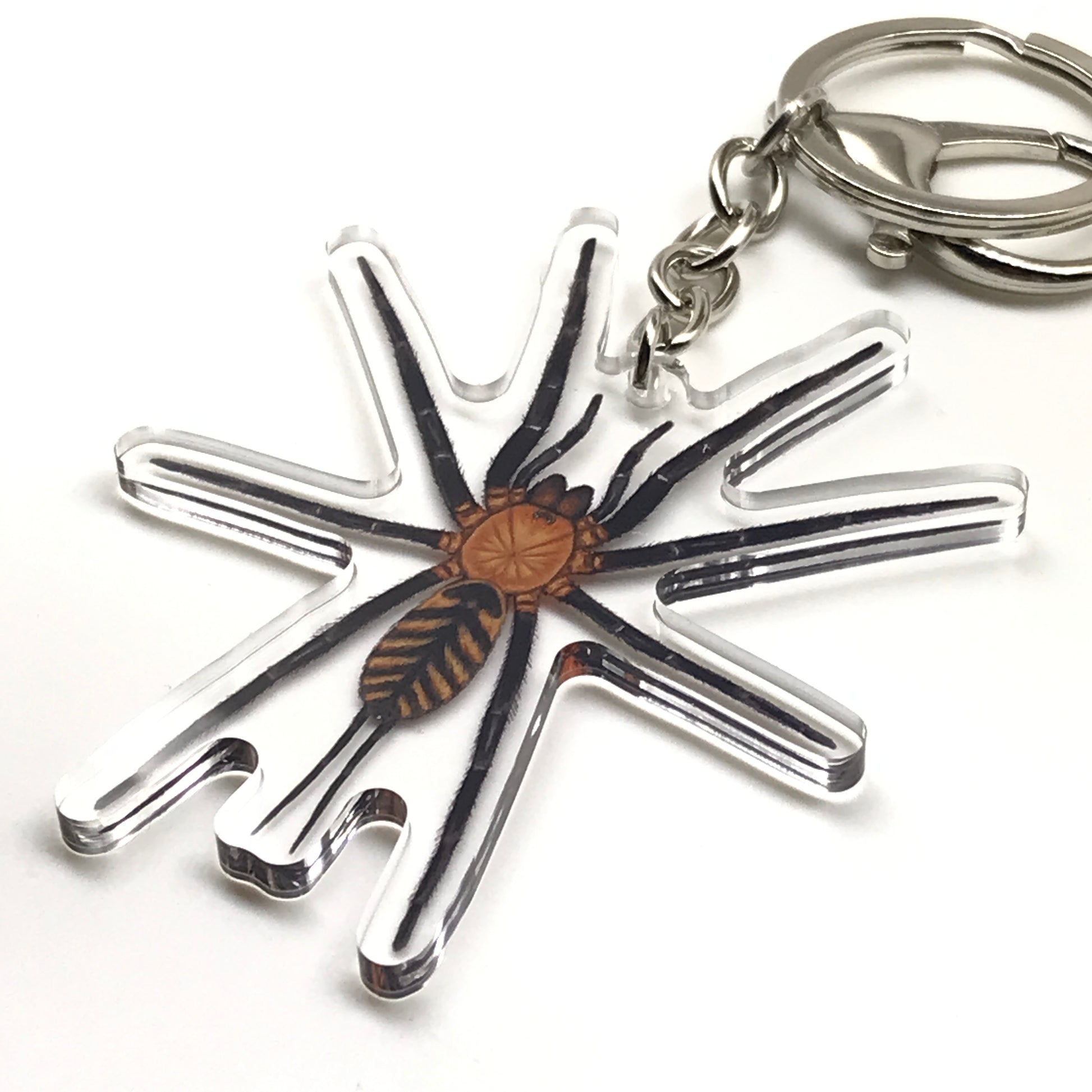Tiger Curtain Web Spider Juvenile Keychain, Linothele Fallax Acrylic Charm from The Silk Ranch