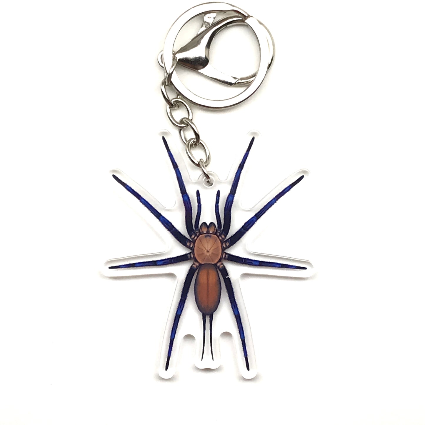 Acrylic keychain featuring a Colombian Linothele sericata spider web design, showcasing a detailed web spider charm from The Silk Ranch.