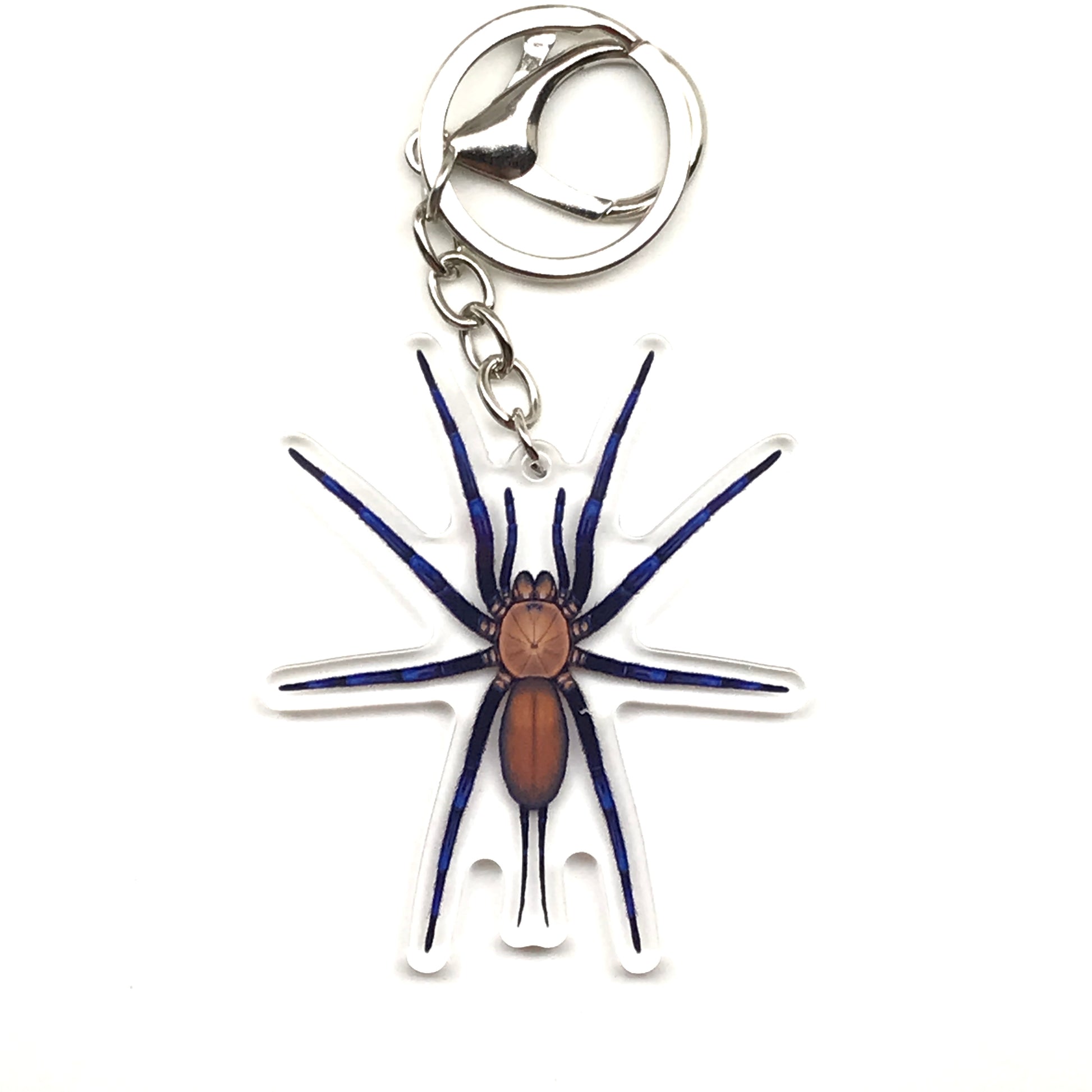 Acrylic keychain featuring a Colombian Linothele sericata spider web design, showcasing a detailed web spider charm from The Silk Ranch.