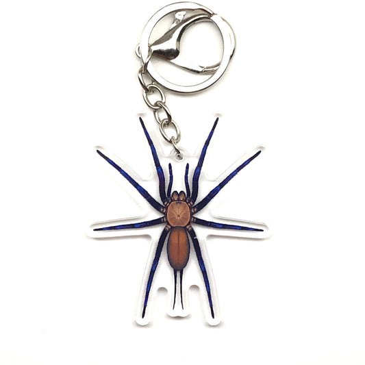 Colombian Curtain Web Spider Keychain, Linothele Sericata Acrylic Charm from The Silk Ranch