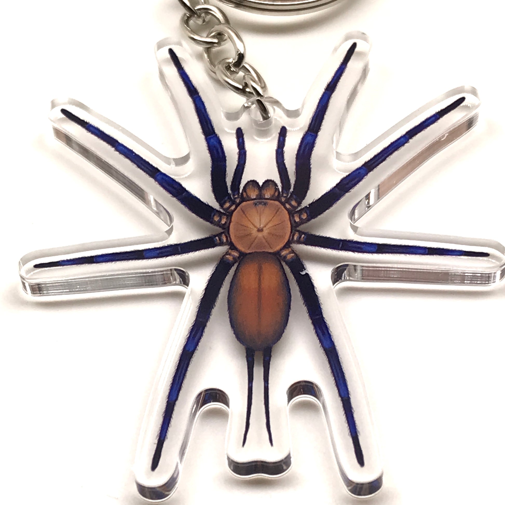 Acrylic Colombian Curtain Web Spider keychain featuring Linothele Sericata, with detailed web and spider design on a keyring.