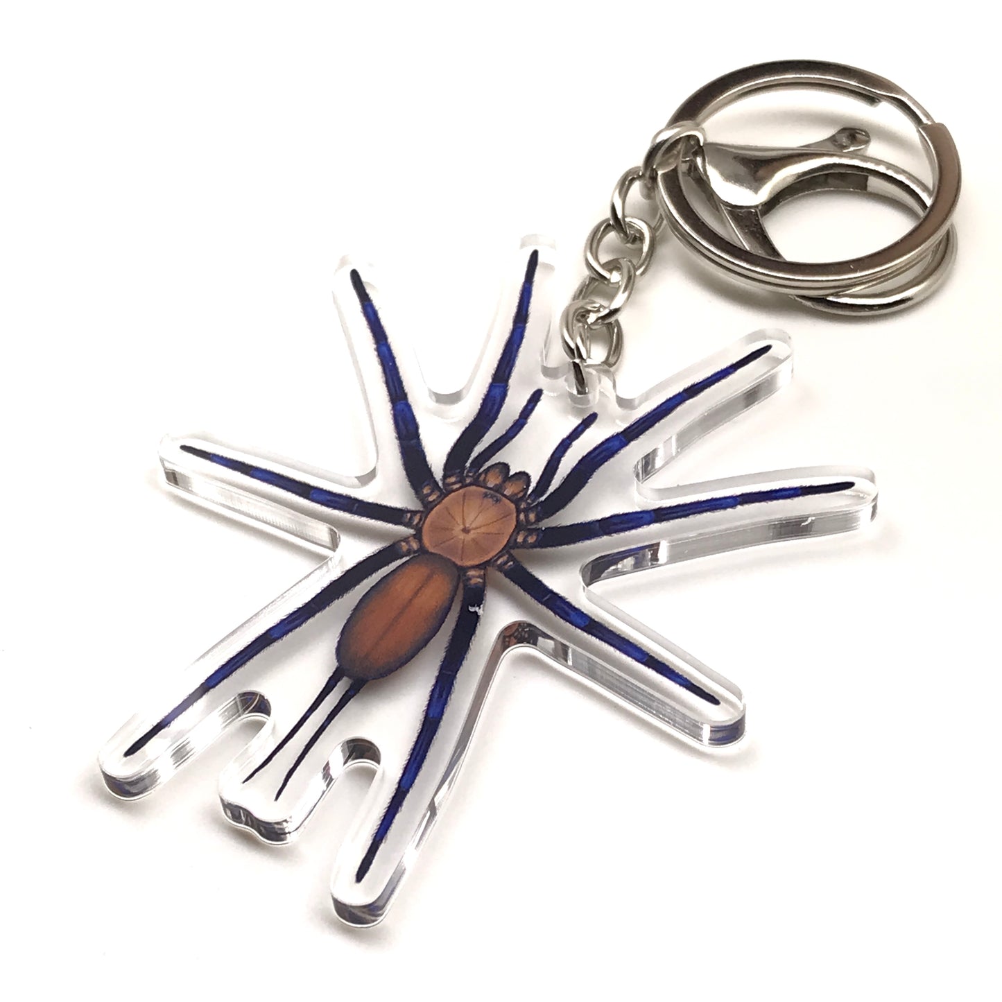 Acrylic keychain featuring a Colombian Curtain Web Spider, Linothele Sericata design, with detailed spider charm on a keyring.