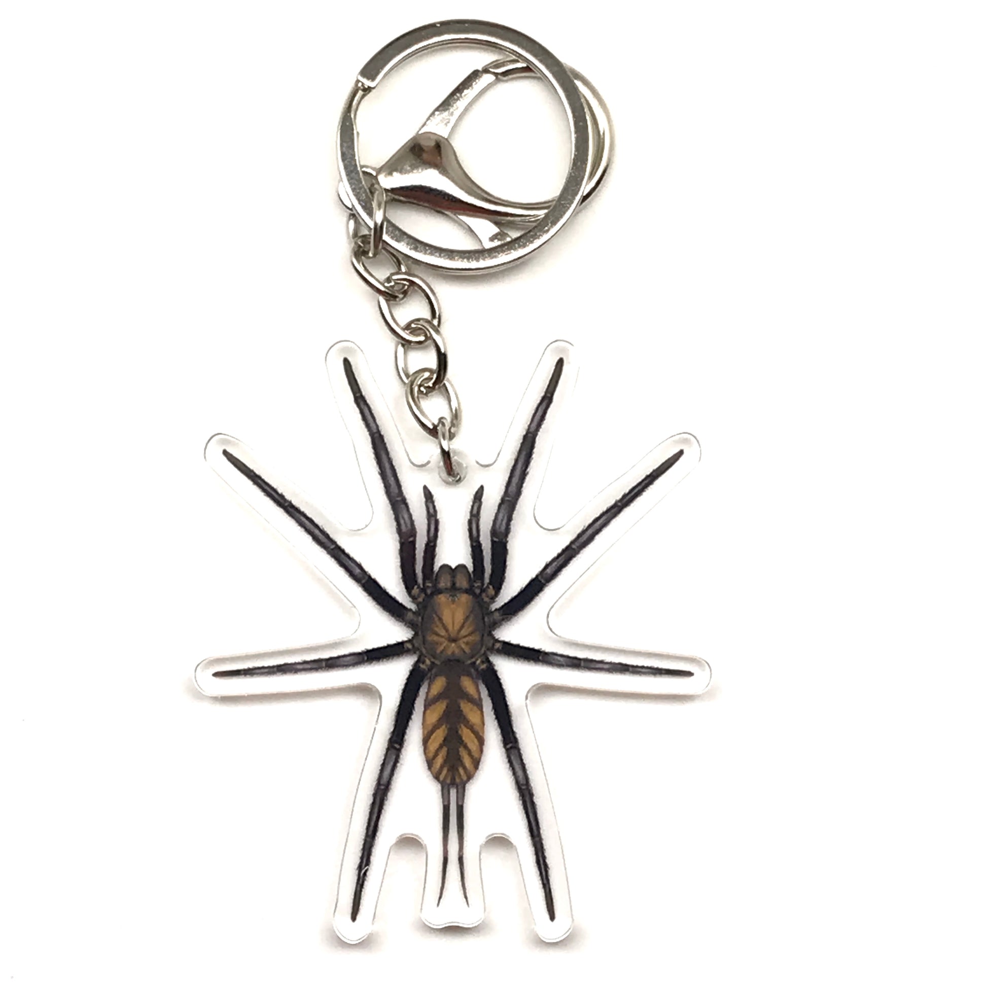 Golden striped Dipluridae spider keychain from The Silk Ranch featuring an acrylic charm with gold and black stripes.
