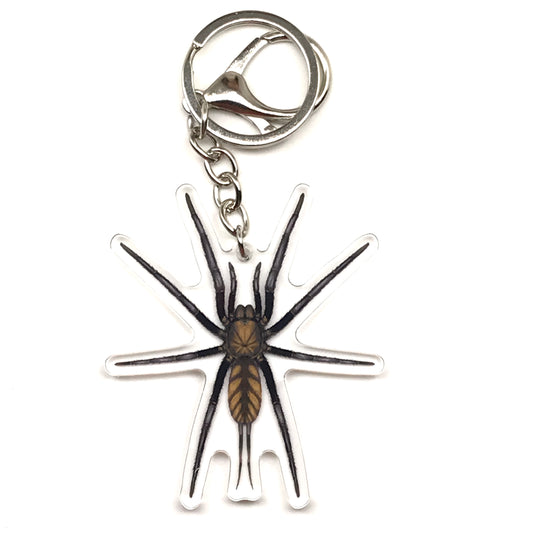 Golden Striped Curtain Web Spider Keychain, Dipluridae Sp. Golden Stripes Acrylic Charm from The Silk Ranch