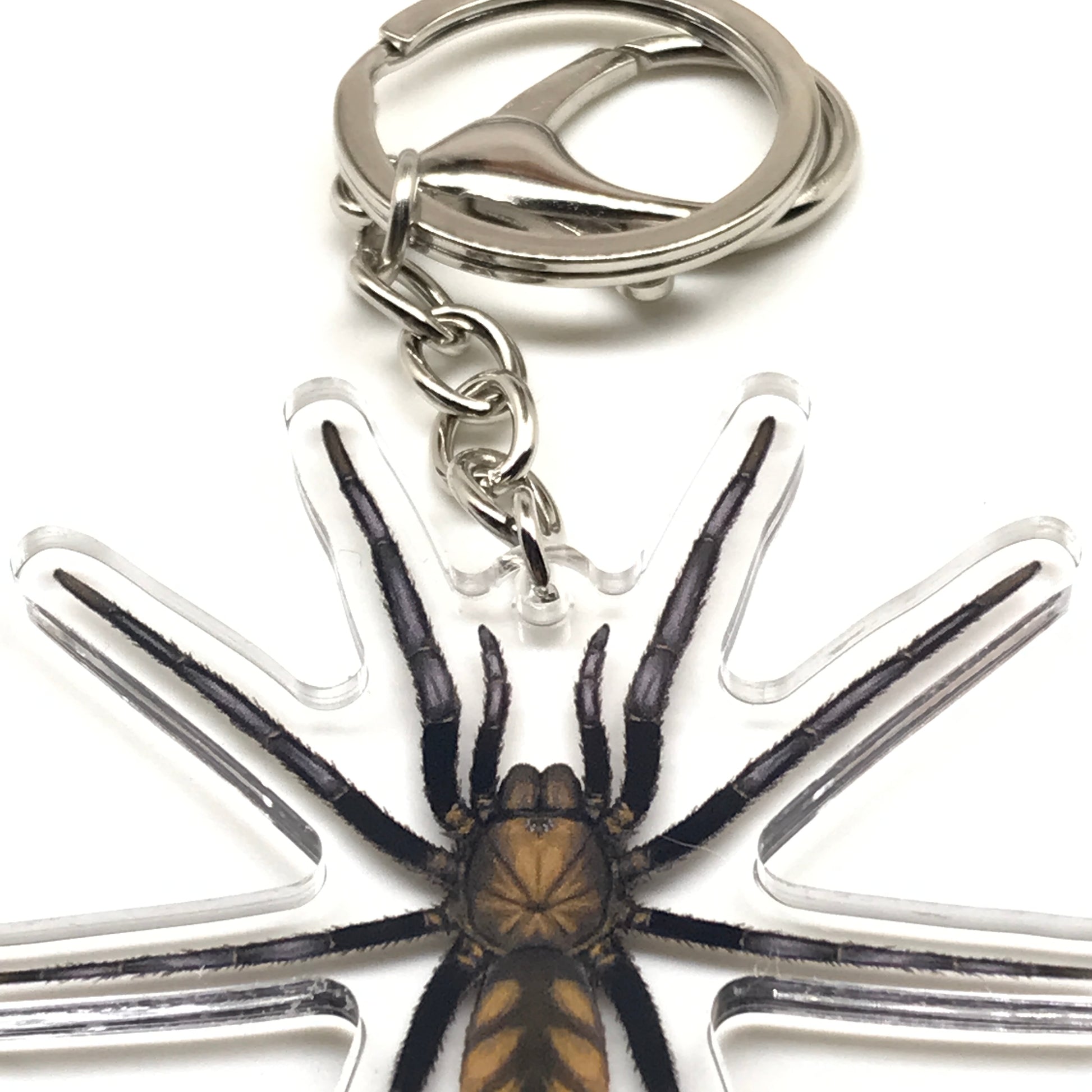 Golden striped curtain web spider keychain featuring acrylic charm with Dipluridae spider design from The Silk Ranch.