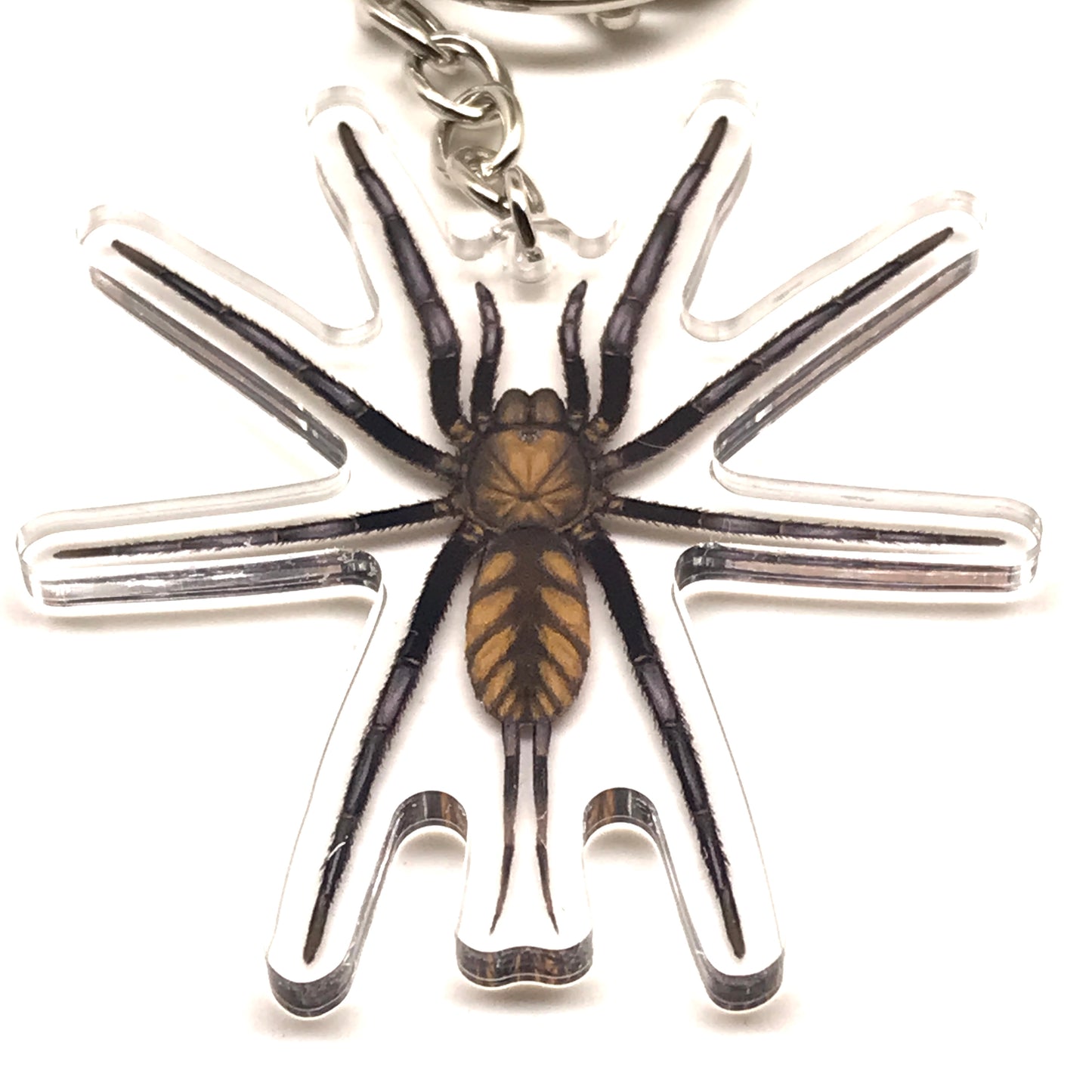 Golden striped Dipluridae spider keychain with acrylic charm, featuring a web design and vibrant gold stripes.