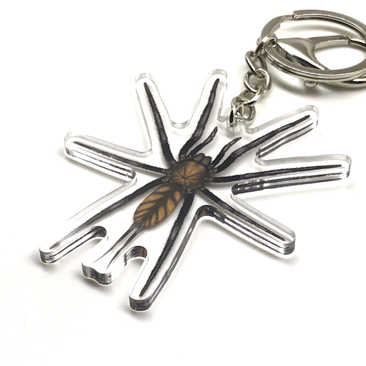 Golden striped spider keychain featuring acrylic charm from The Silk Ranch, inspired by Dipluridae web spiders with detailed golden stripes.