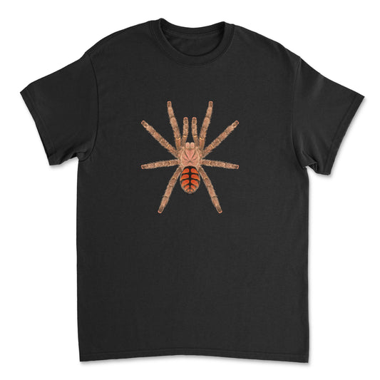 Red Slate Pinktoe Tarantula art T-shirt featuring detailed illustration of Avicularia minatrix on a black background.