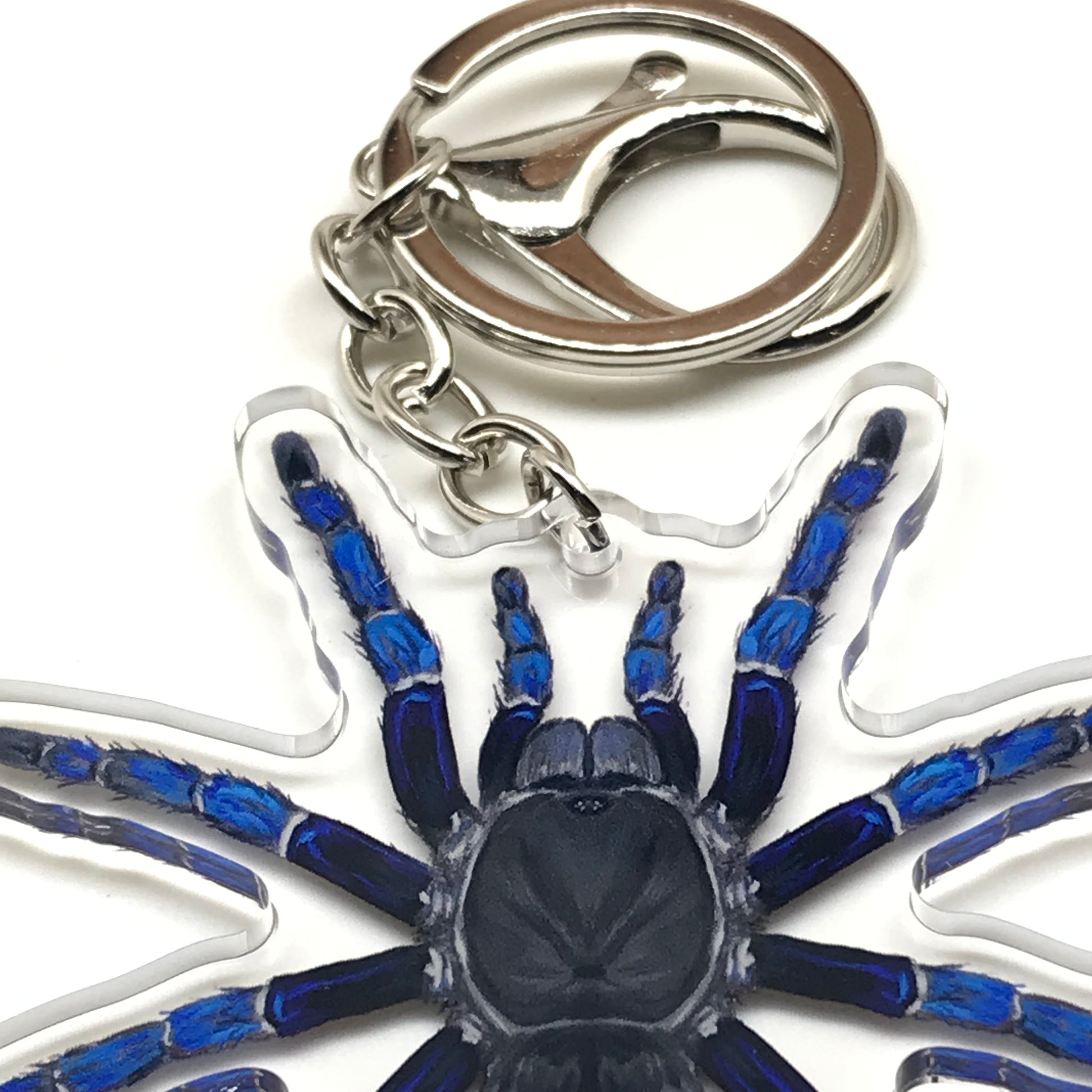 Cobalt blue tarantula keychain featuring Cyriopagopus lividus acrylic charm on a metal keyring, vibrant and detailed.