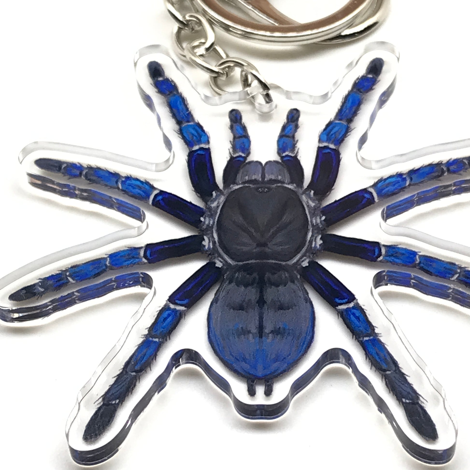 Cobalt blue tarantula keychain with acrylic charm featuring Cyriopagopus lividus spider design, from The Silk Ranch.