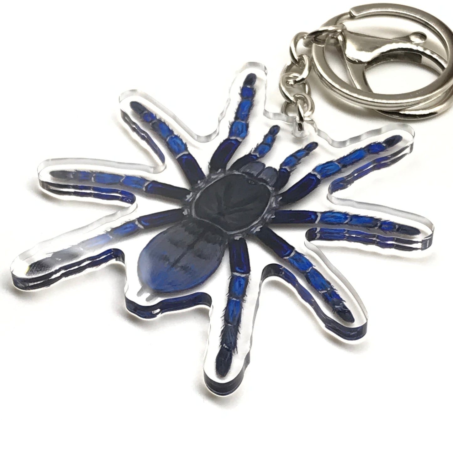 Cobalt blue tarantula keychain featuring Cyriopagopus lividus acrylic charm with detailed spider design.