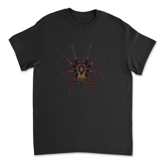 Red Skeleton Tarantula art T-shirt featuring a detailed illustration of Ephebopus rufescens on a black fabric background.