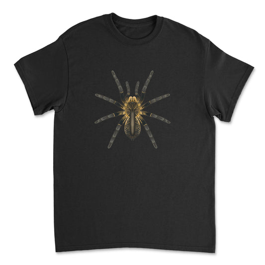 Front view of a Gildan G5000 T-shirt featuring an artistic illustration of a horned baboon tarantula (Ceratogyrus attonitifer) by Mingo Art.