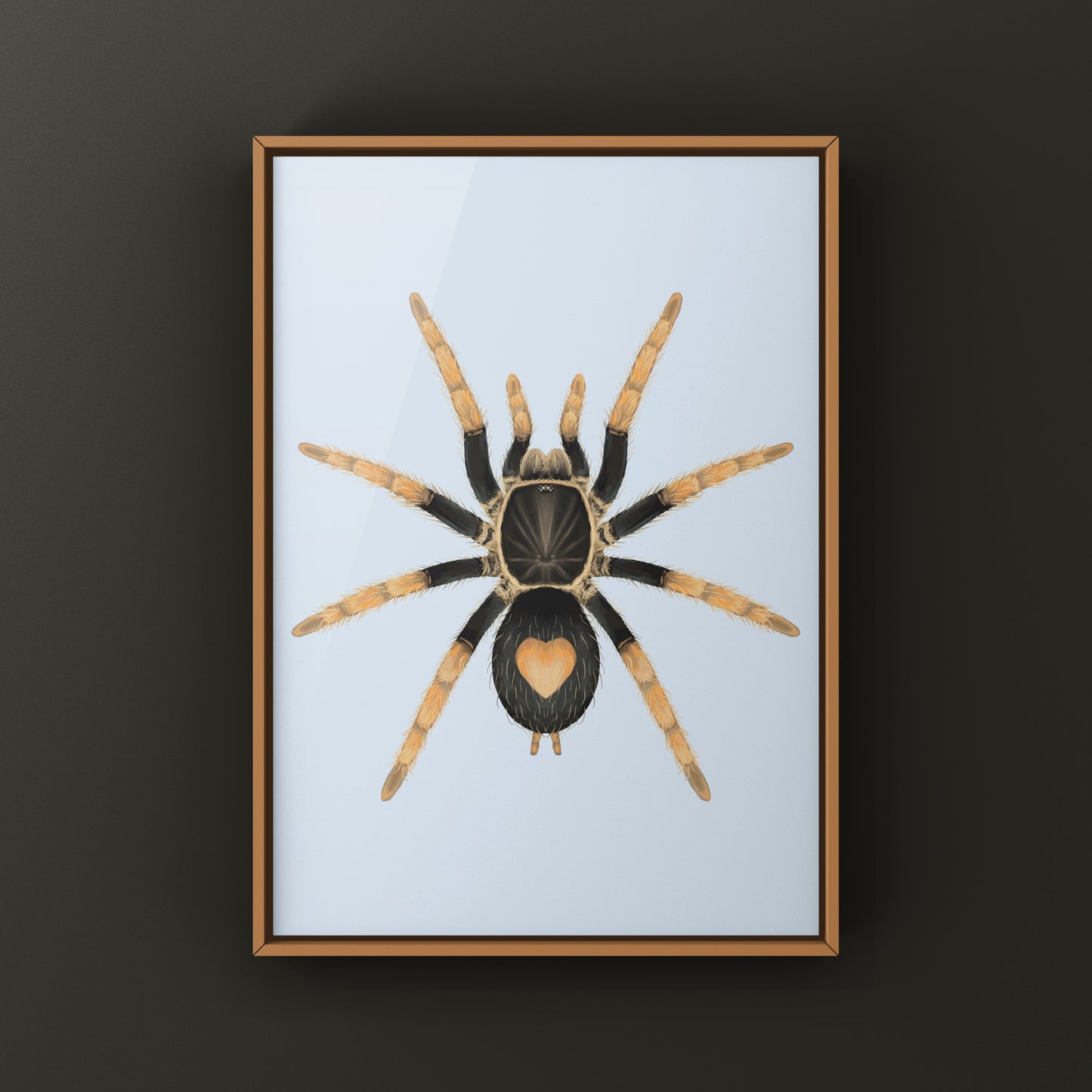 Peruvian Dwarf Red Leg Tarantula, Cyriocosmus Aueri, Photographic Art Print from The Silk Ranch