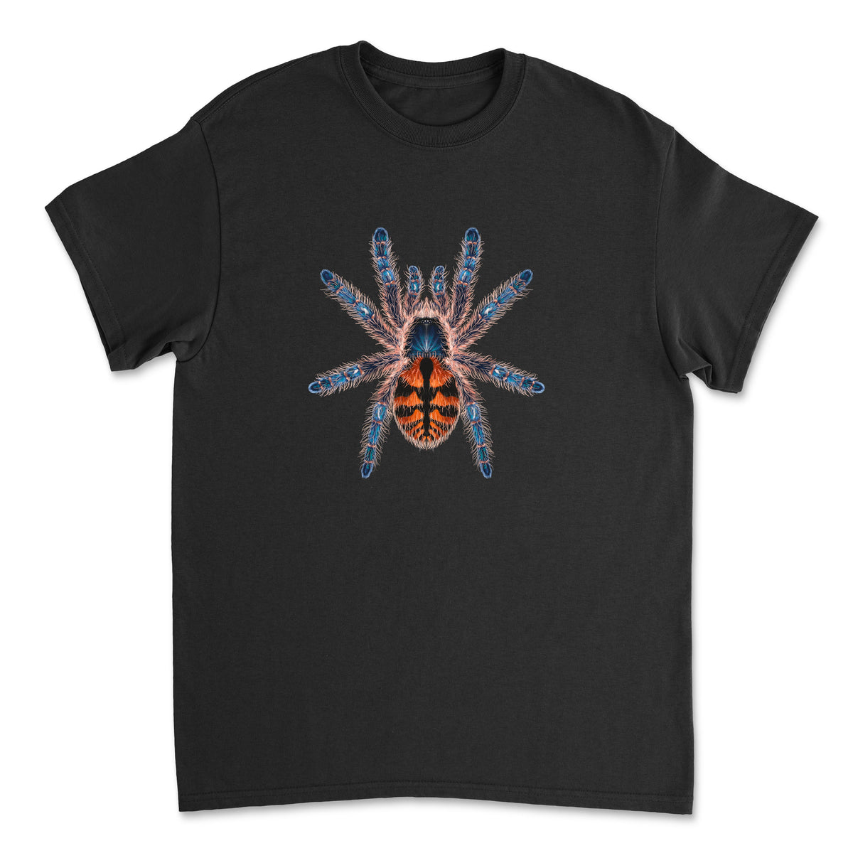 Mingo Art T-Shirt featuring a colorful illustration of the Chapadensis Jewel Tarantula (Typhochlaena chapadensis) on a Gildan shirt.