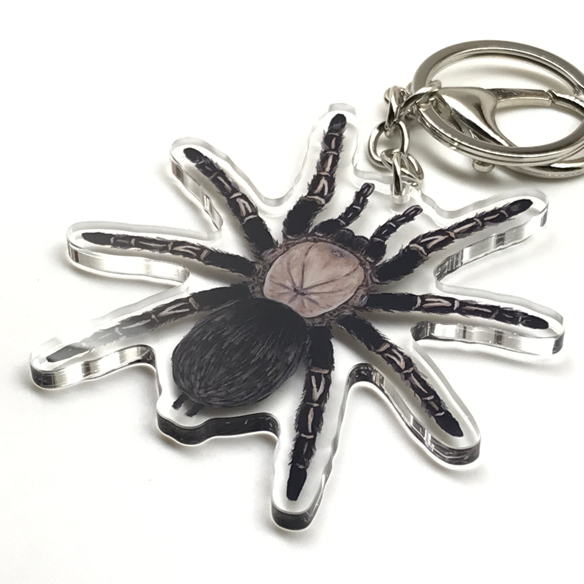 Ephebopus Murinus skeleton tarantula keychain with acrylic charm, featuring detailed arachnid design and black and red coloration.