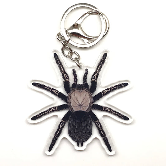 Skeleton Tarantula Keychain, Ephebopus Murinus Acrylic Charm from The Silk Ranch