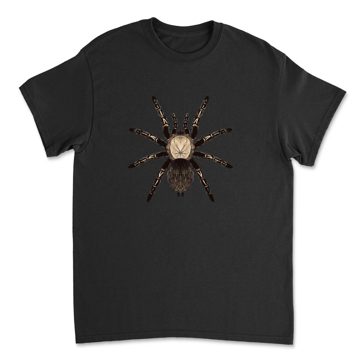 Skeleton Tarantula Ephebopus murinus art T-shirt by Mingo Art, featuring detailed spider illustration on a comfortable cotton T-shirt.