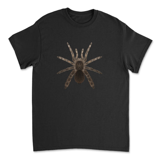 Gildan G5000 T-shirt featuring a detailed illustration of a Stout Leg Baboon Tarantula (Eucratocelus pachypus) from Mingo Art.
