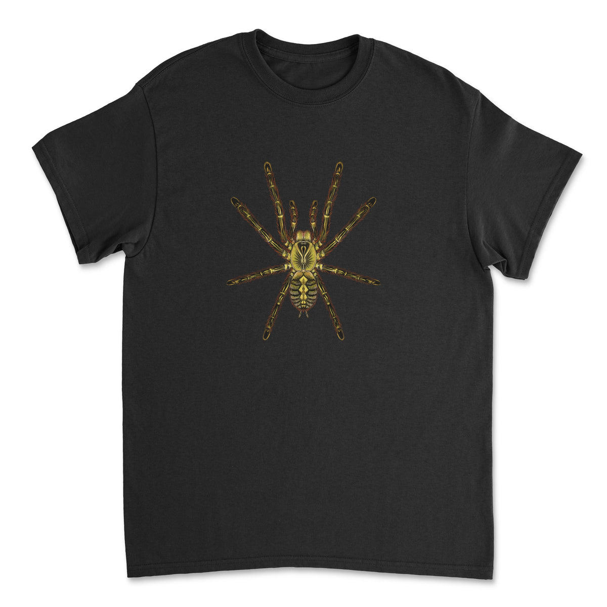 Red slate ornamental tarantula art T-shirt featuring detailed illustration of Poecilotheria rufilata on a Gildan T-shirt.