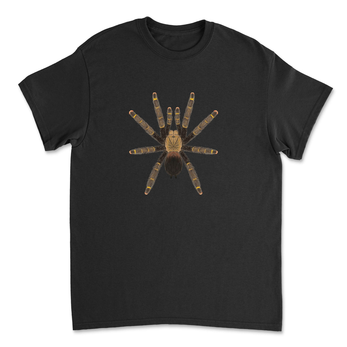 Yellow Banded Pinktoe Tarantula Avicularia rufa art T-shirt showing detailed spider illustration on a Gildan T-shirt front.