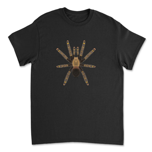 Yellow Banded Pinktoe Tarantula Avicularia rufa art T-shirt showing detailed spider illustration on a Gildan T-shirt front.