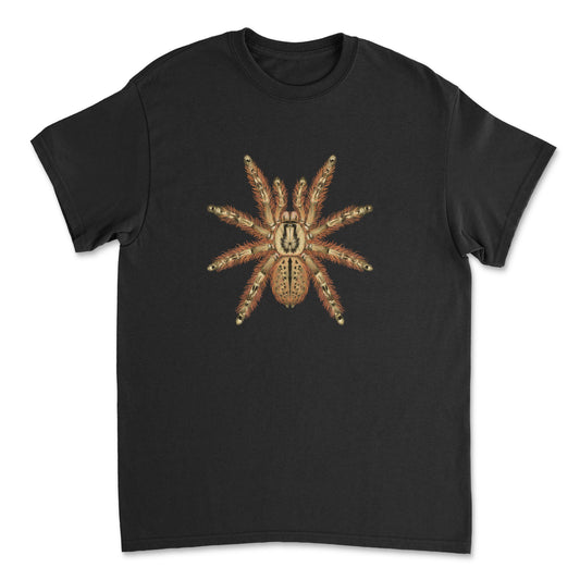 Feather Leg Baboon Tarantula Stromatopelma calceatum art T-shirt featuring a detailed spider illustration on a black fabric.
