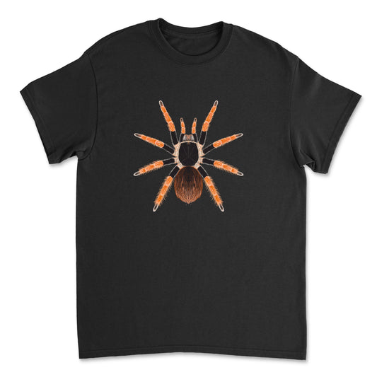Colombian Giant Redleg Tarantula Megaphobema robustum art T-shirt featuring detailed spider illustration on front.