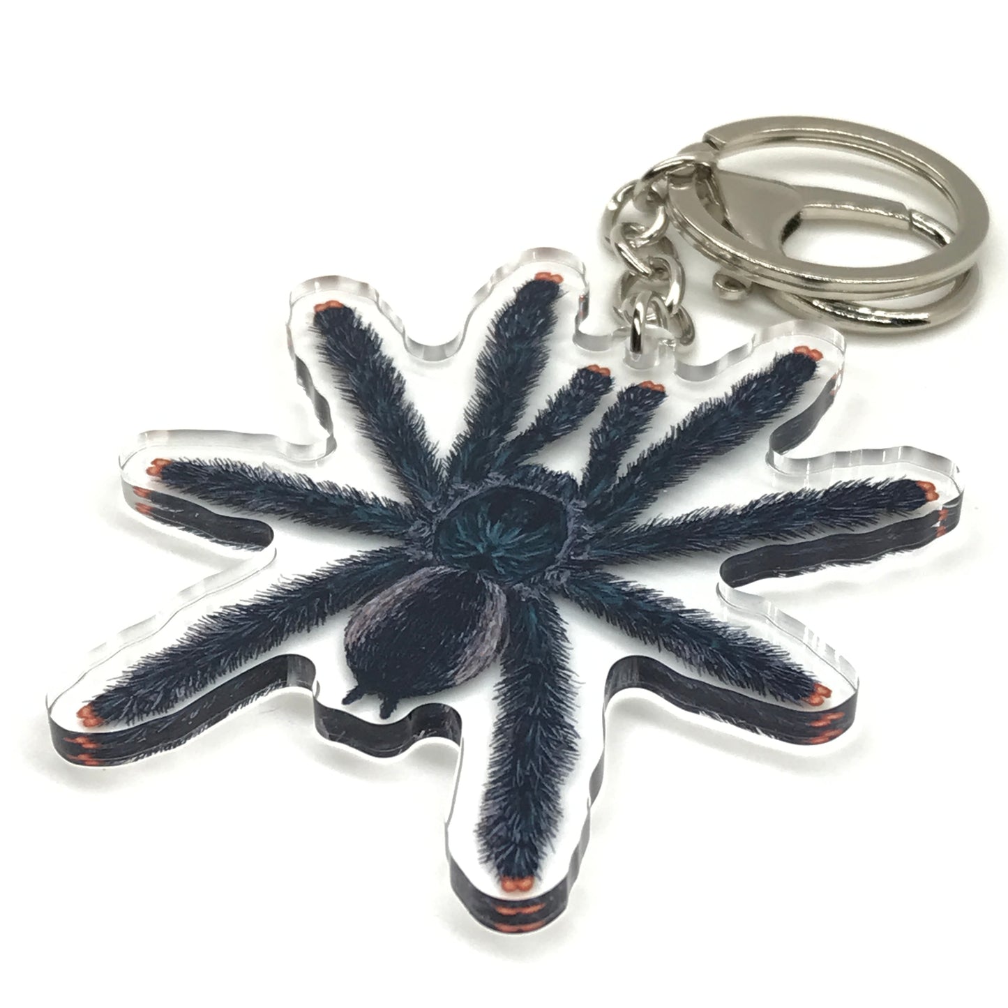 Guyana Pinktoe Tarantula keychain featuring an acrylic charm of Avicularia avicularia spider on a clear background.