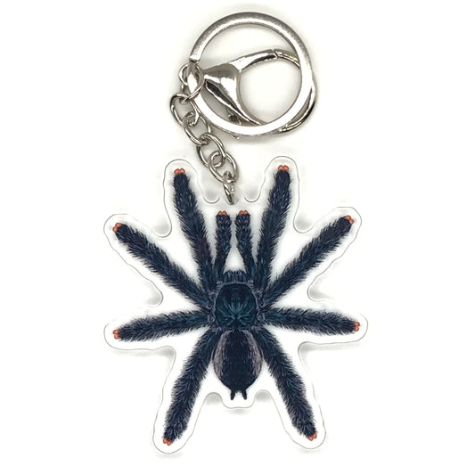 Guyana Pinktoe Tarantula Keychain, Avicularia Avicularia Acrylic Charm from The Silk Ranch