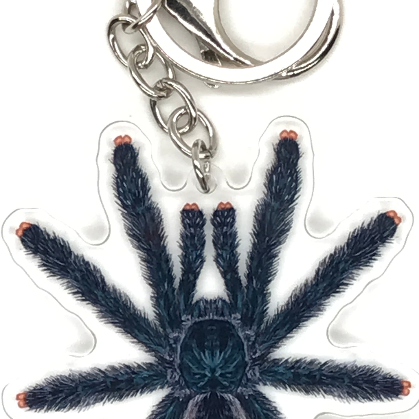 Guyana Pinktoe Tarantula keychain with acrylic charm featuring an Avicularia avicularia spider, crafted by The Silk Ranch.