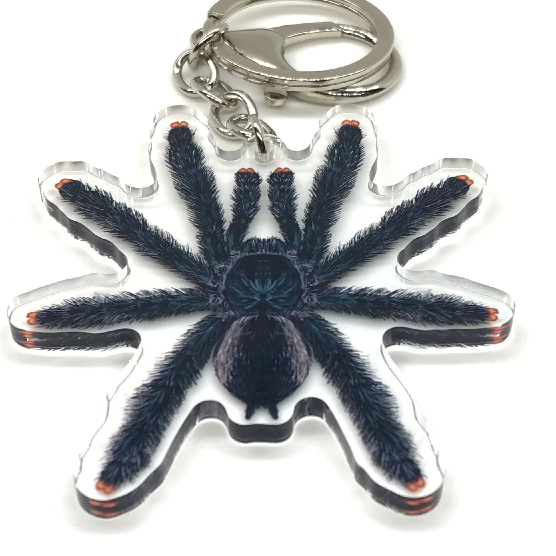 Guyana Pinktoe Tarantula keychain acrylic charm featuring Avicularia avicularia design, crafted by The Silk Ranch.