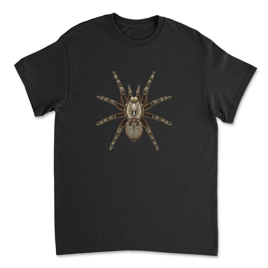 Gildan T-Shirt featuring a detailed illustration of a Rear Horned Baboon Tarantula (Ceratogyrus darlingi) by Mingo Art.
