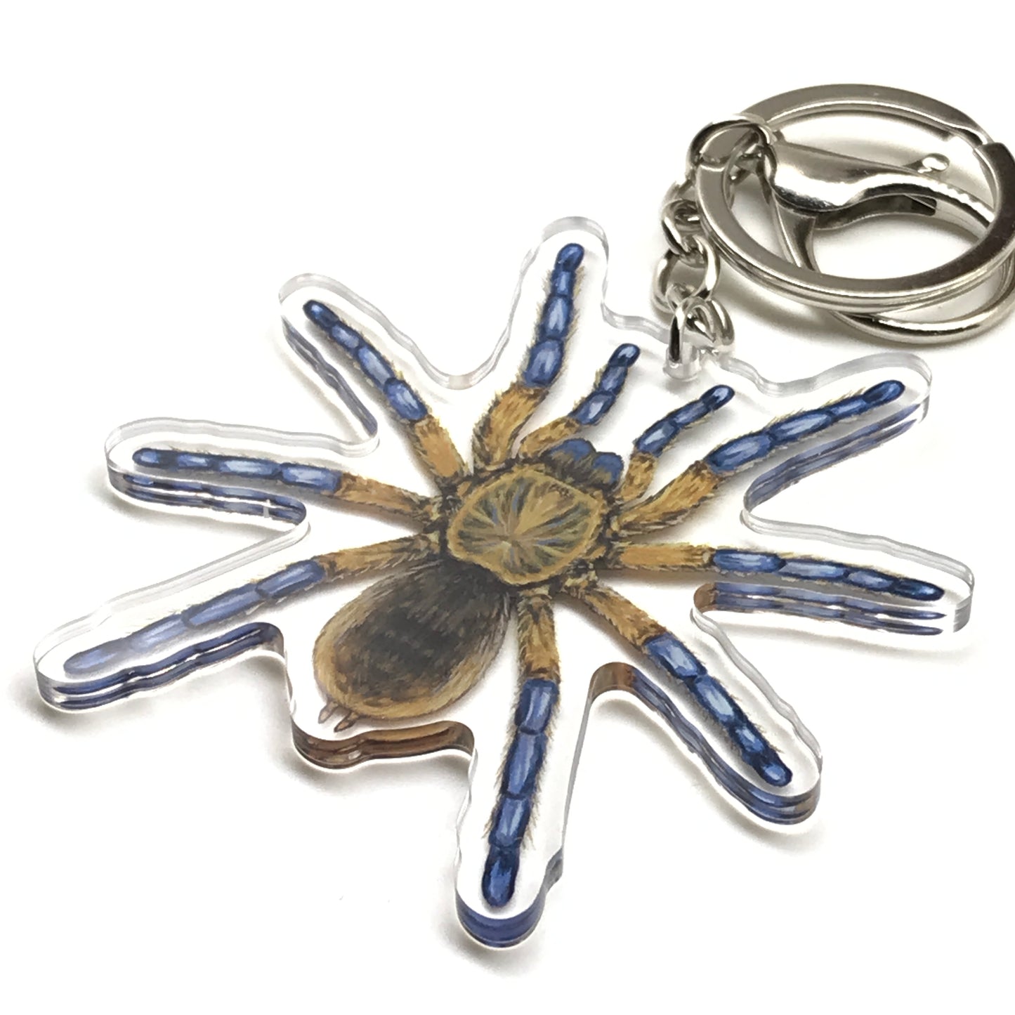 Golden blue leg baboon tarantula keychain featuring a Harpactira Pulchripes acrylic charm with vibrant colors and detailed design.