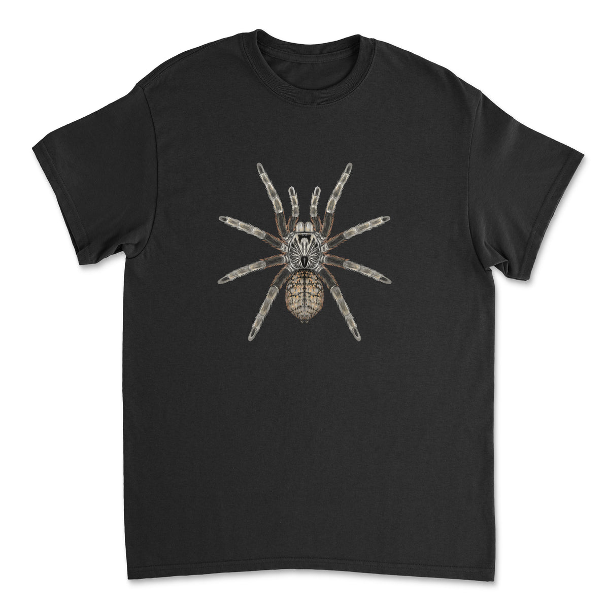 Gildan G5000 T-shirt featuring a detailed illustration of a Straight Horned Baboon Tarantula (Ceratogyrus marshalli) by Mingo Art.