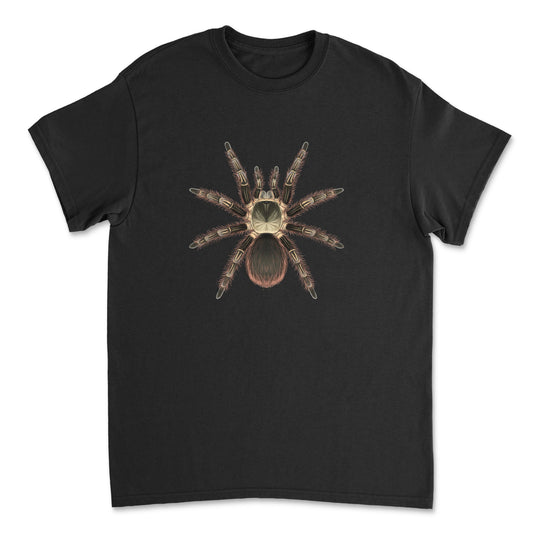 Pink Zebra Beauty Tarantula art T-shirt featuring detailed illustration of Eupalaestrus campestratus on a Gildan shirt.