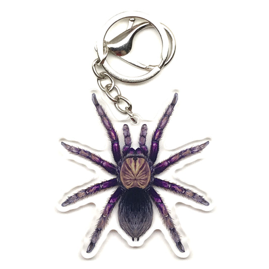 Colombian Purple Bloom Tarantula Keychain, Pamphobeteus Insignis Acrylic Charm from The Silk Ranch