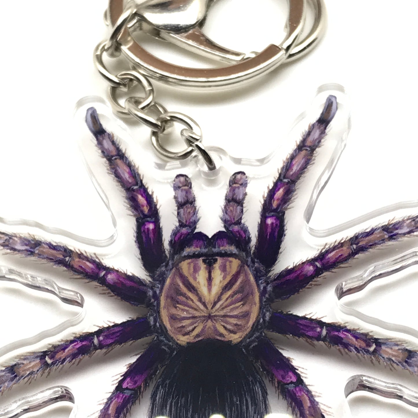 Colombian Purple Bloom Tarantula Pamphobeteus Insignis acrylic keychain charm from The Silk Ranch with detailed purple and black spider design.