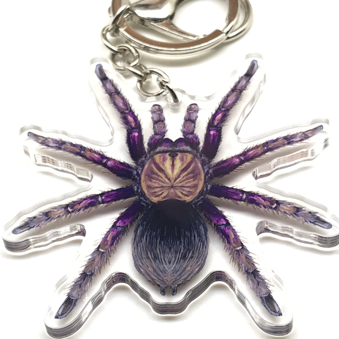 Purple bloom tarantula keychain with acrylic charm featuring Pamphobeteus insignis spider from The Silk Ranch.