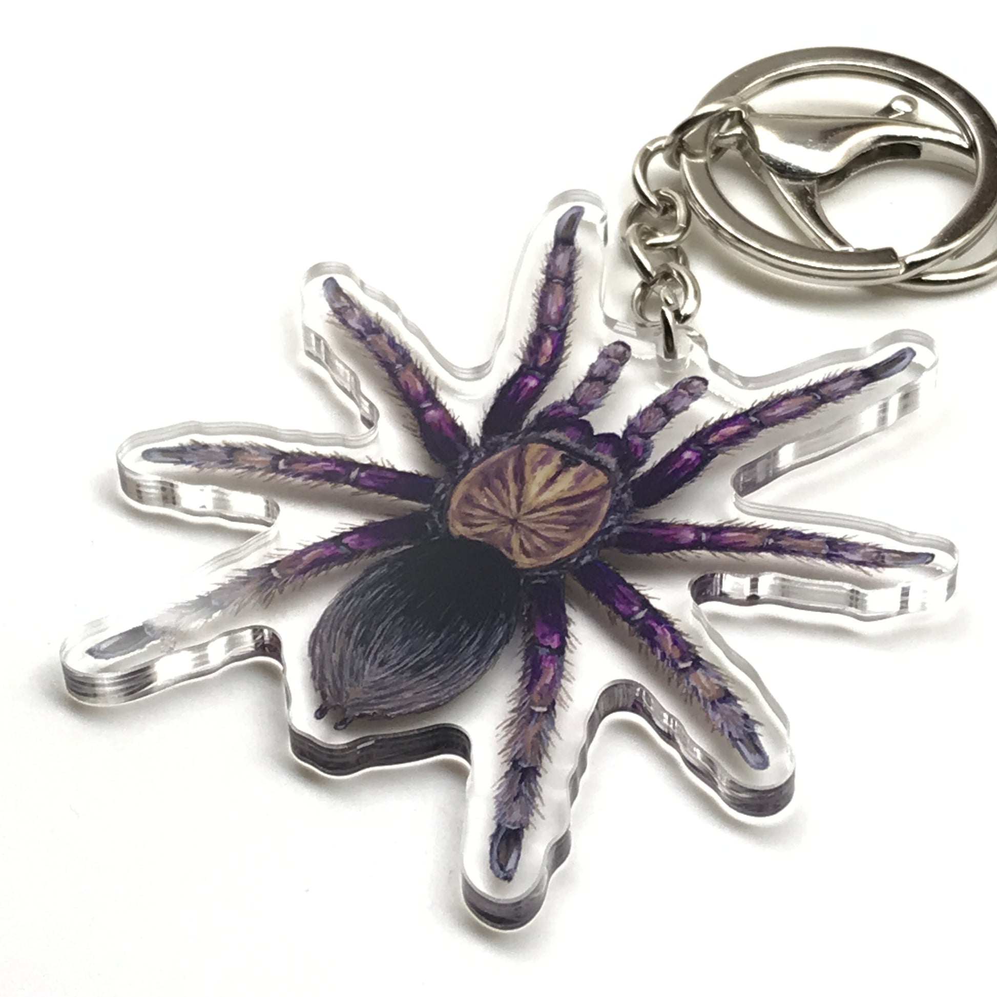 Colombian Purple Bloom Tarantula Pamphobeteus Insignis acrylic keychain charm, detailed purple and black spider design from The Silk Ranch