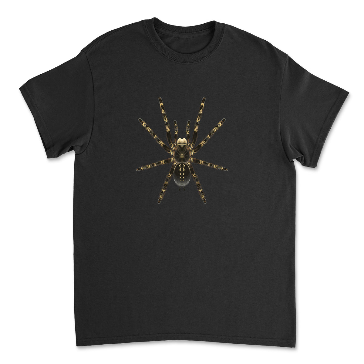 Highland Ivory Ornamental Tarantula T-shirt by Mingo Art featuring detailed illustration of Poecilotheria subfusca on a white background