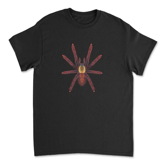 Red and black Sabah Red Earth Tiger Tarantula art T-shirt featuring detailed spider illustration on a Gildan T-shirt.
