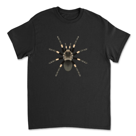 Himalayan Earth Tiger Tarantula Haplocosmia himalayana art T-shirt in front view, featuring detailed spider illustration on a Gildan T-shirt.