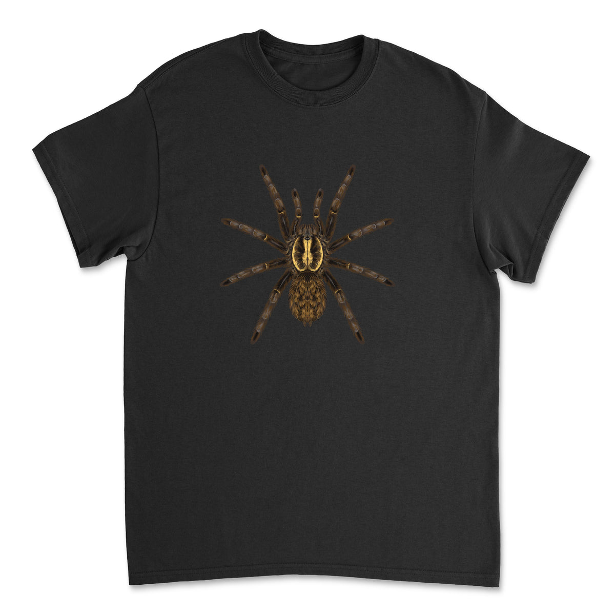 Tanzanian Chestnut Baboon Tarantula Heterothele villosella art T-shirt, featuring detailed spider illustration on a black Gildan T-shirt.