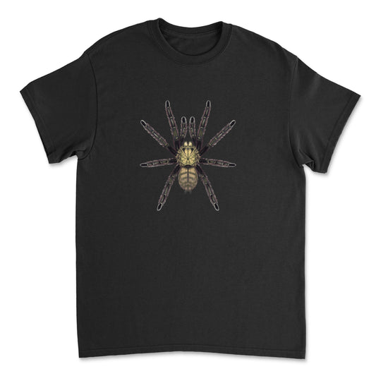 Black T-shirt featuring a detailed illustration of the Caribbean Diamond Tarantula (Tapinauchenius rasti) by Mingo Art.
