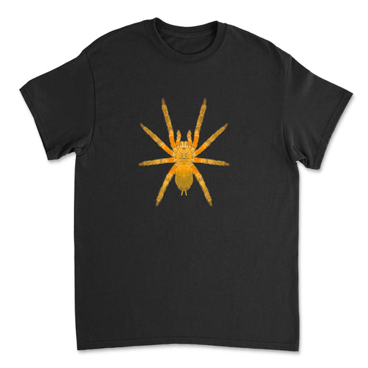 Thailand Orangesickle Tarantula art T-shirt featuring a vibrant orange tarantula illustration on a white Gildan T-shirt.