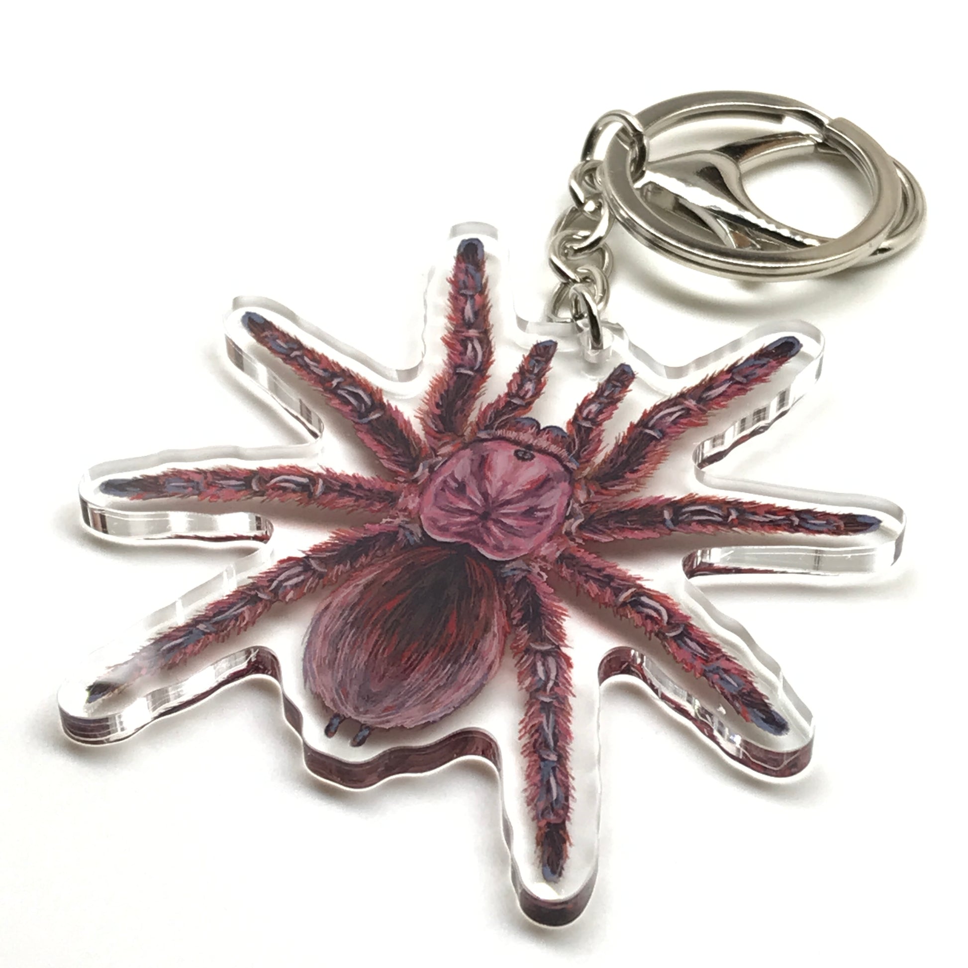 Rose Hair Tarantula keychain featuring a Grammostola Rosea acrylic charm, detailed and realistic for jewelry and accessory use.