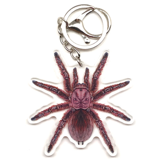 Rose Hair Tarantula Keychain, Grammostola Rosea Acrylic Charm from The Silk Ranch