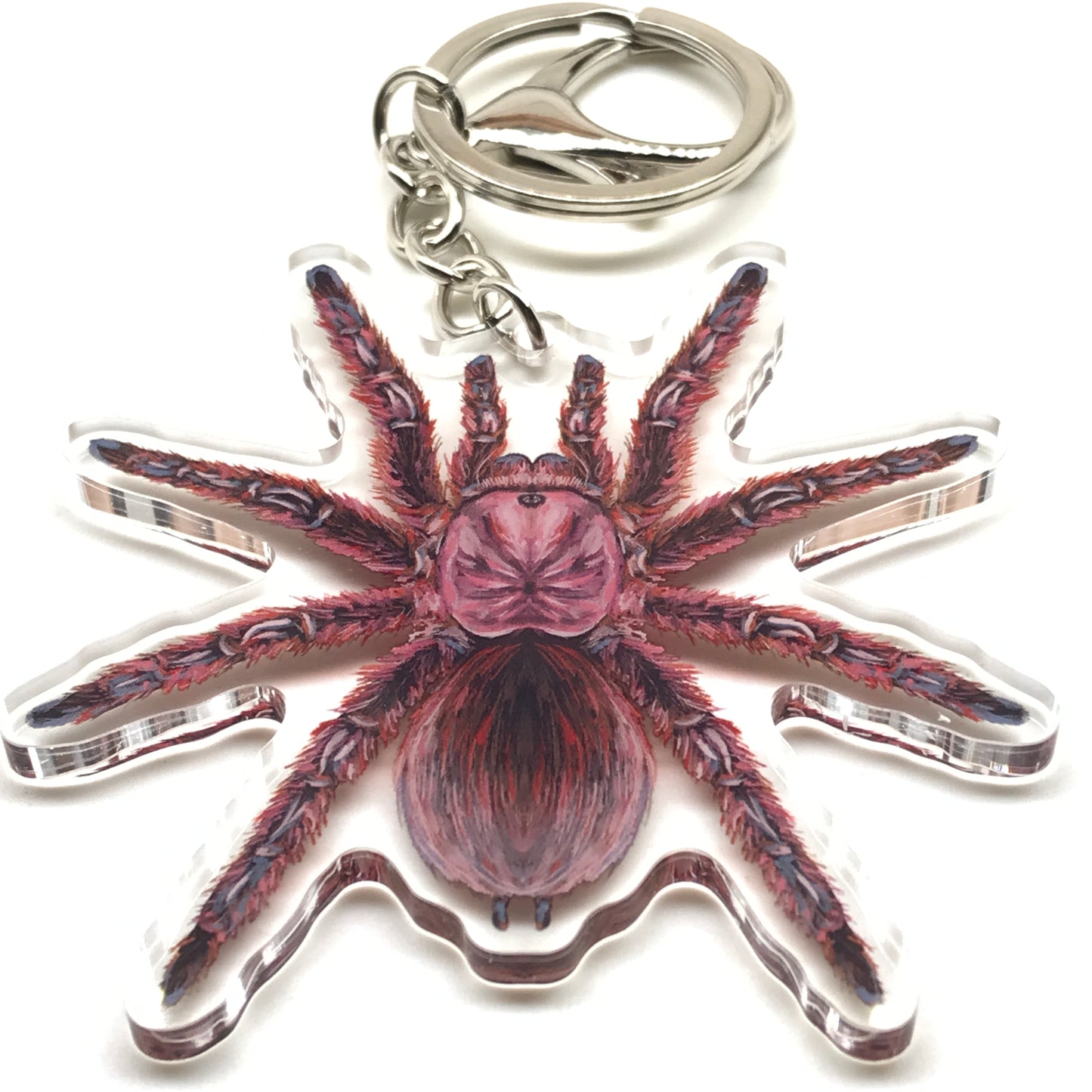 Acrylic keychain featuring a detailed Grammostola Rosea rose hair tarantula charm from The Silk Ranch.