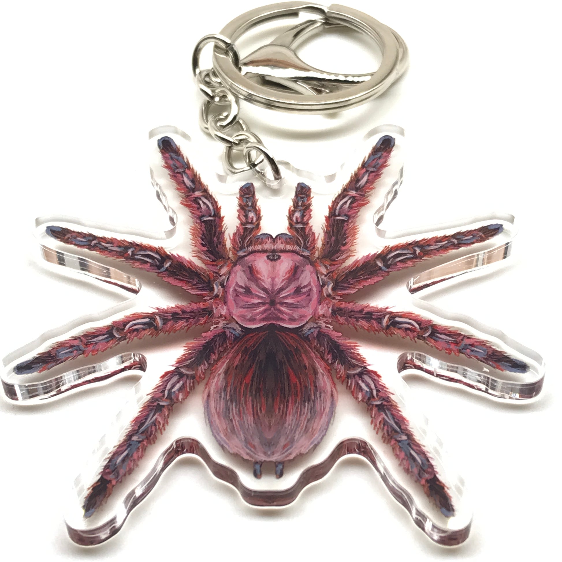 Acrylic keychain featuring a detailed Grammostola Rosea rose hair tarantula charm from The Silk Ranch.